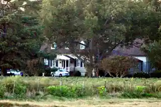 Belmont
