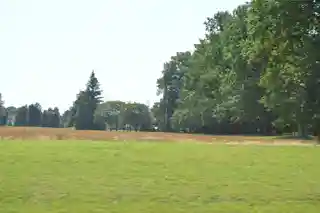 Laurel Meadow