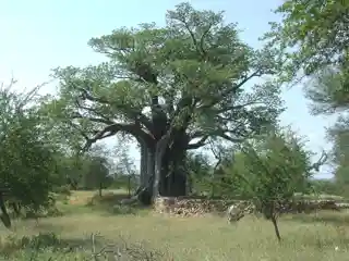 Thulamela