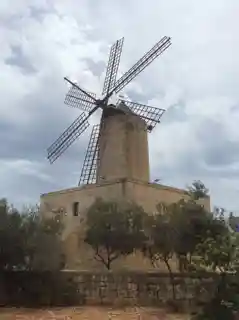 Xarolla Windmill