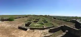 Tanais
