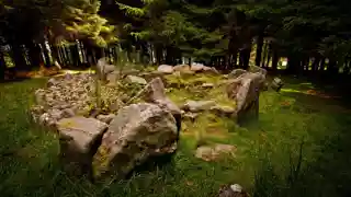 Ballyedmonduff Wedge Tomb