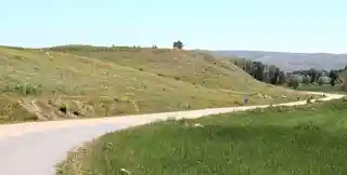 Samuha