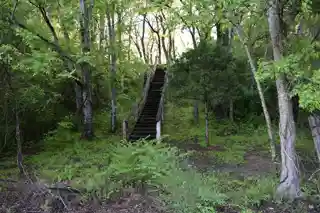 Ingomar Mounds(22 UN 500)