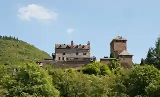Wildburg Castle