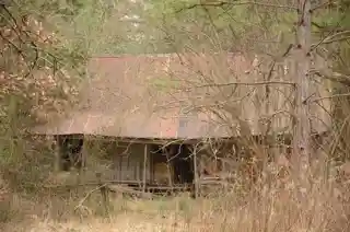 Dr. Boaz House