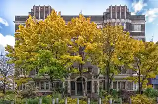The Windsor Arms Apartments