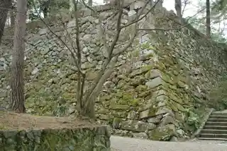 Kameyama  Castle