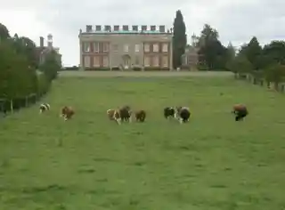 Wootton House