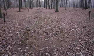 Kletzien Mound Group