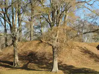 Pocahontas Mounds(22 HI 500)