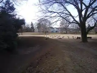 Jindaiji Castle
