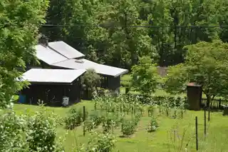 McIntosh, Roderick, Farm