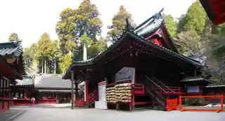 Hakone Jinja箱根神社