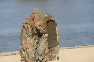 The 