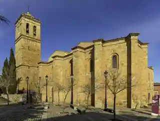 Co-cathedral of San Pedro