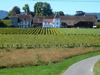 Duillier Castle