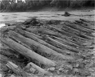 Bailey's Dam