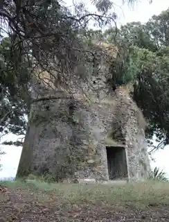 Tower of Alistru