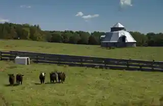 Hoffman Round Barn