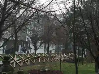 Parliament of Trees