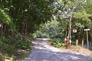 Mulberry Grove