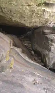 Piyangala Forest Hermitage