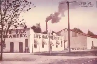 Live Oak Creamery