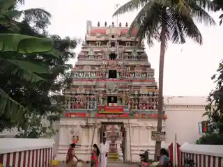 Nathan Kovil