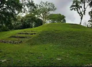 Los Naranjos