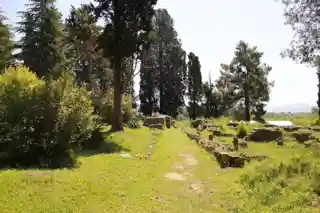 Mogorjelo