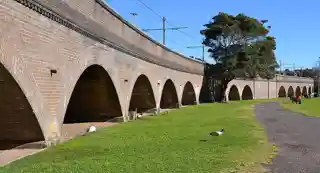 Glebe and Wentworth Park railway viaducts