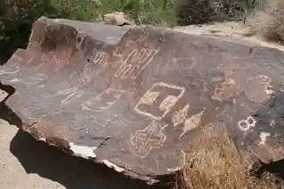 Grapevine Canyon Petroglyphs (AZ:F:14:98 ASM)
