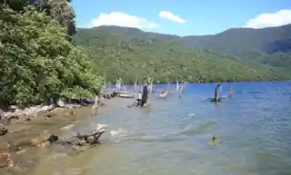 Monowai Power Station