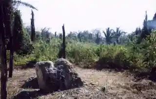 Motul de San José