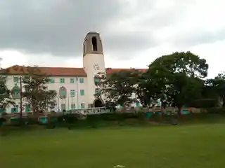 Ivory Tower