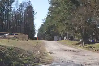 Olive Hill