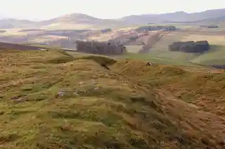 Milkieston Rings
