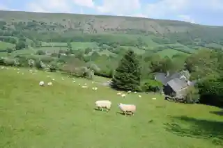 Cwm Bwchel Farmhouse