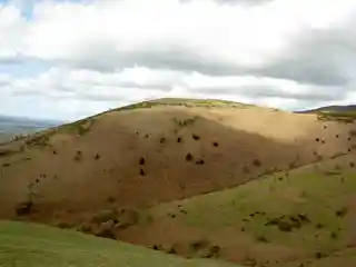 Moel-y-Gaer Camp