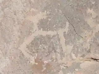 Toro Muerto