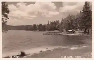 The Pines Resort