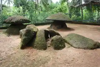 Ariyannur Umbrellas