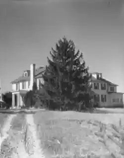 Mount Eagle