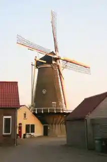 Windlust
