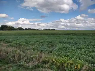 Second Battle of Newtonia Site