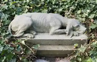 As the Dog