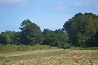 Wolftrap Farm