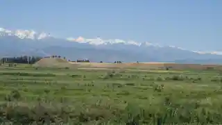 Navekat