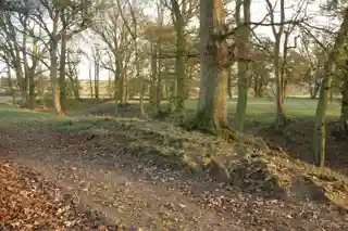 Rock moated site and medieval village
